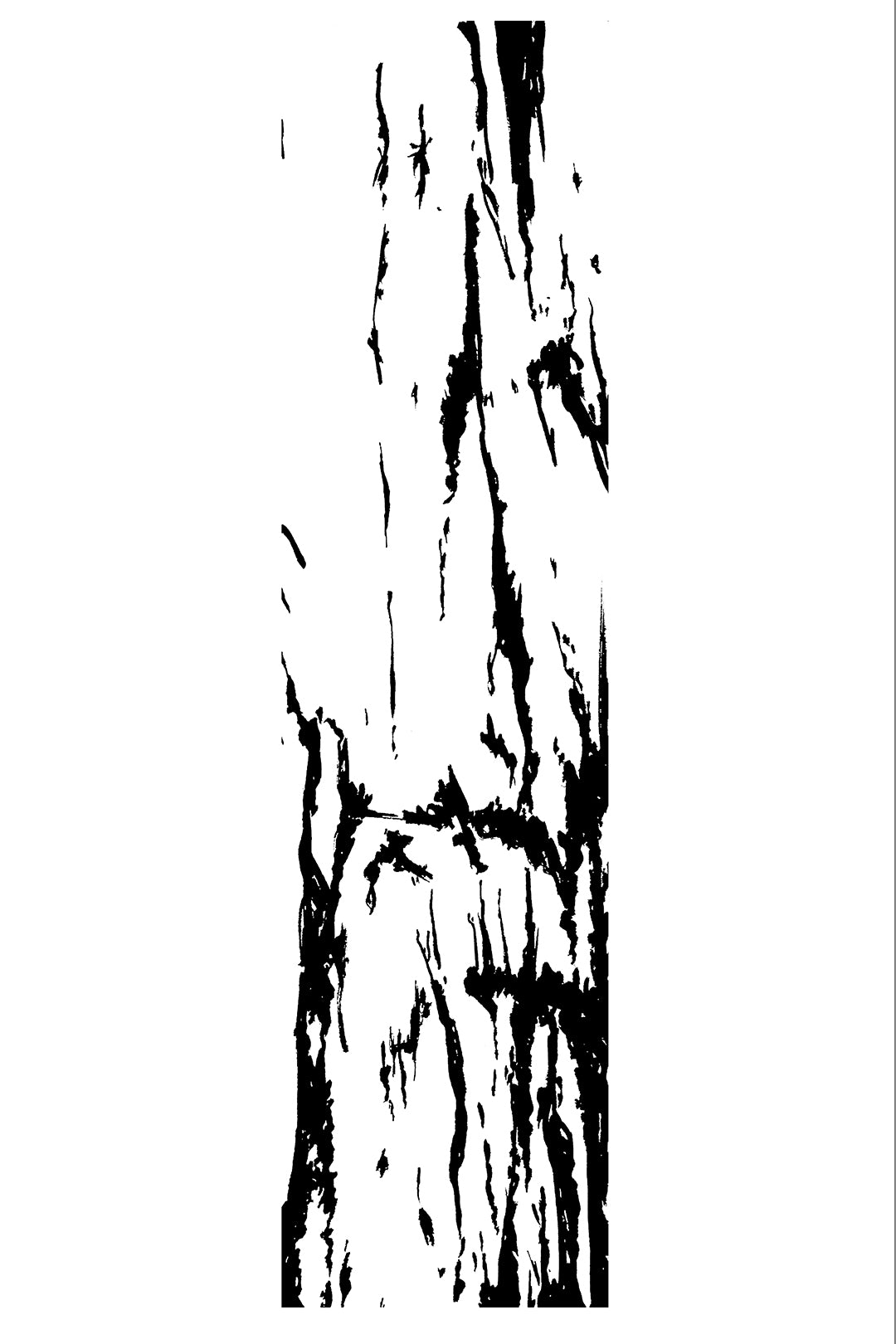 Wooden Bones